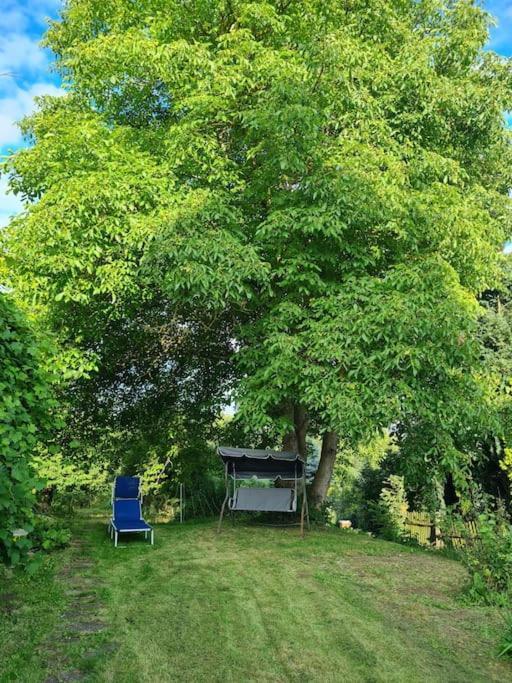 Ferienhaus Hildegard & Horst - Urlaub Im Herzen Des Fichtelgebirge Hohenberg an der Eger Eksteriør bilde